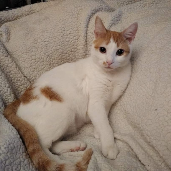 Meet your Posher, Jennifer - Picture 6 of 15